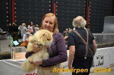 Antwerpen 191