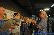 antwerp 2018 0376
