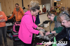 Laakdal 2023 086