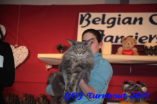 bcf antw 2010 198