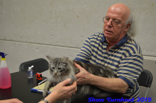 turnhout 2019-0254
