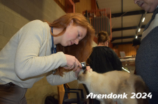 Arendonk 2024 031