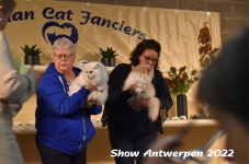 Antwerp 2022275