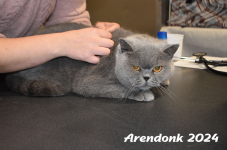 Arendonk 2024 105