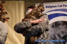 Show Antwerpen 2021 326