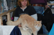 bcf antw 2010 086