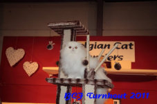 bcf antw 2010 286