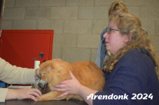 Arendonk 2024 430