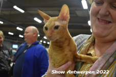 Antwerp 2022399