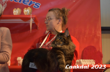 Laakdal 2023 265