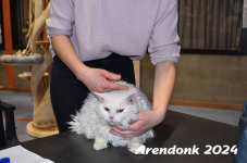 Arendonk 2024 106