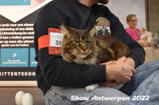 Antwerp 2022267