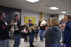 Katttenshow Arendonk 2020 DSC 0522