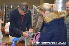 Schow Antwerpen 2023 092