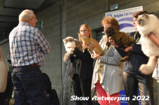 Antwerp 2022380