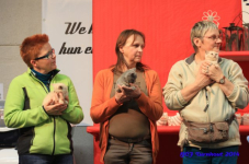 bcfturnhout 2014 0294