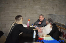 Antwerpen 2019DSC 0138
