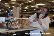 Schow Antwerpen 2023 278