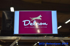 Antwerpen 2019DSC 0083