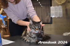 Arendonk 2024 085
