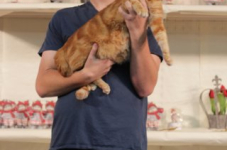 antw 2015 244