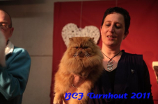 bcf antw 2010 165