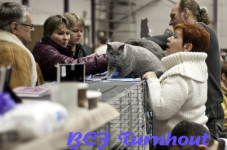  bcf ant 201186