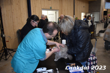 Laakdal 2023 127