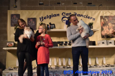 Antwerpen 2019DSC 0205