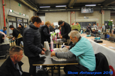 antwerp 2018 0056