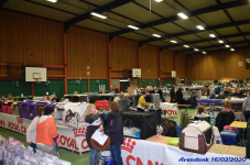 Katttenshow Arendonk 2020 DSC 0145