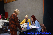 DSC 0066