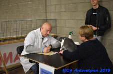 Antwerpen 2019DSC 0142