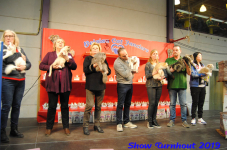 turnhout 2019-0220