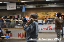 Schow Antwerpen 2023 234