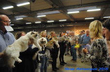 antwerp 2018 0298