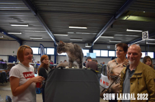 Show Laakdal 2022 0409