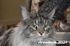 Arendonk 2024 097