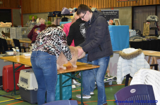 Katttenshow Arendonk 2020 DSC 0053