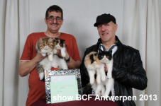 showantwerpen 1113