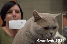 Arendonk 2024 476