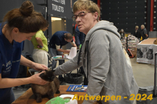 Antwerpen 032