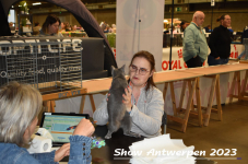 Schow Antwerpen 2023 181