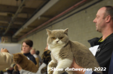 Antwerp 2022311