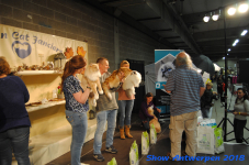 antwerp 2018 0381