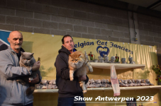 Schow Antwerpen 2023 343