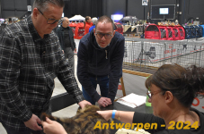 Antwerpen 169