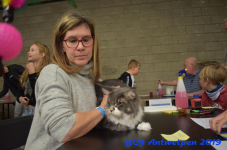 Antwerpen 2019DSC 0242