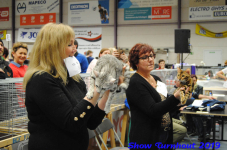 turnhout 2019-0119