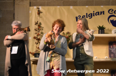 Antwerp 2022355